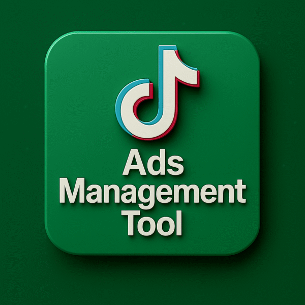 TikTok Ads Management